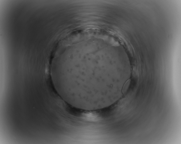 X0000088850561200706081137