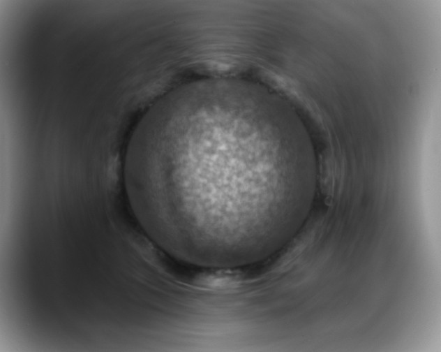 X0000088850563200706081137
