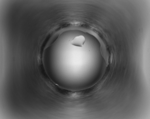X0000088850564200706081137
