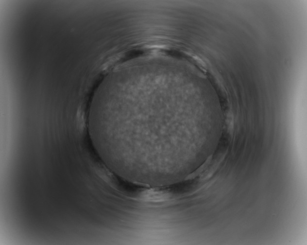X0000088850568200706081137