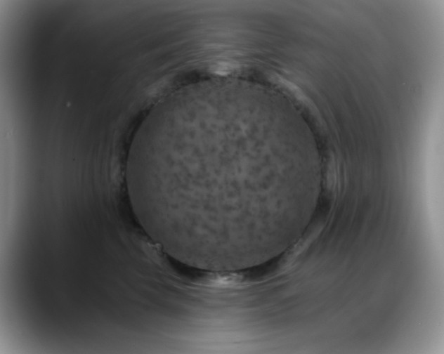 X0000088850569200706081137
