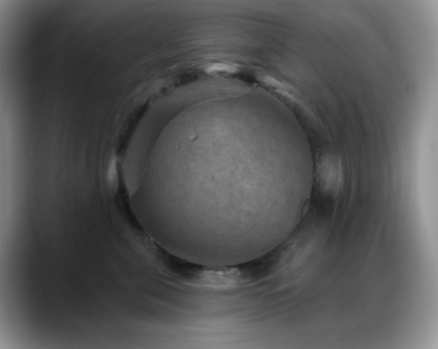 X0000088850571200706081137