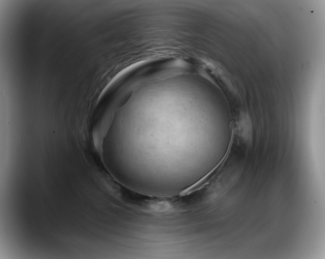 X0000088850572200706081137