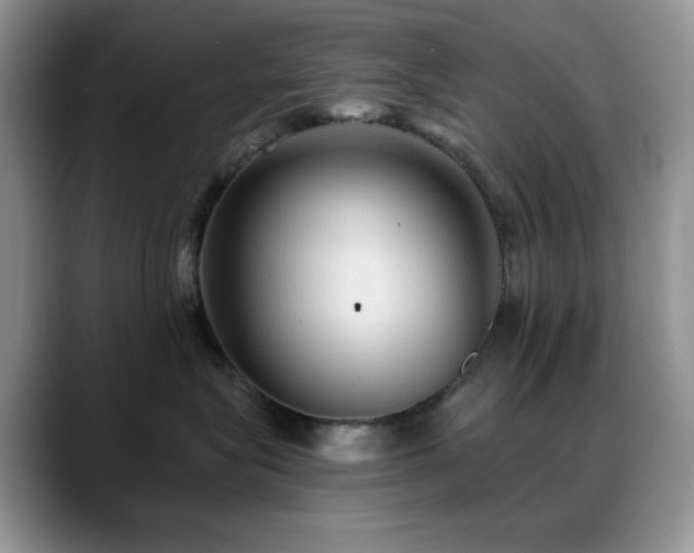 X0000088850575200706081137