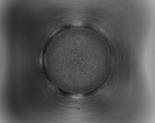 X0000088850576200706081137