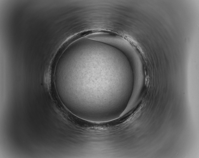 X0000088850580200706081136