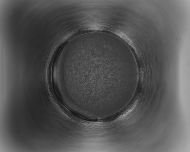 X0000088850581200706081136