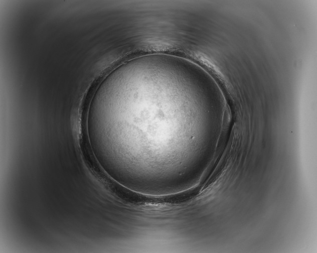 X0000088850582200706081136