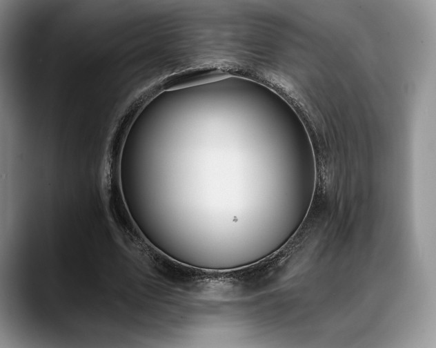 X0000088850583200706081136