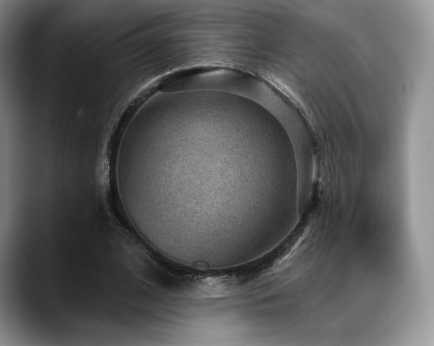 X0000088850584200706081136