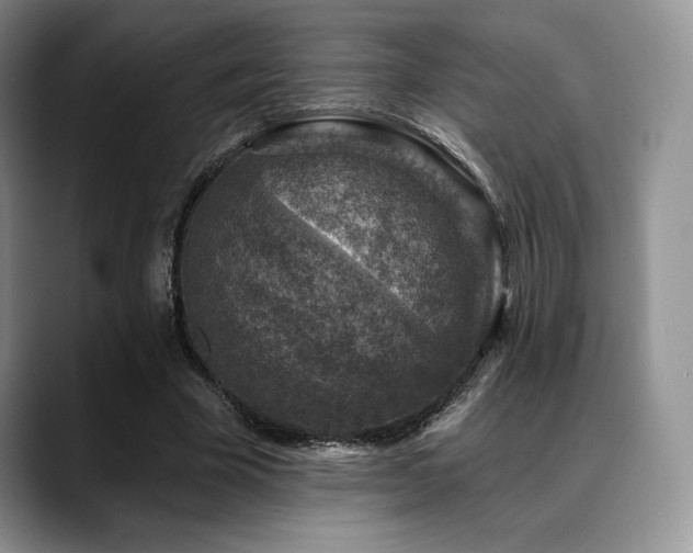 X0000088850585200706081136