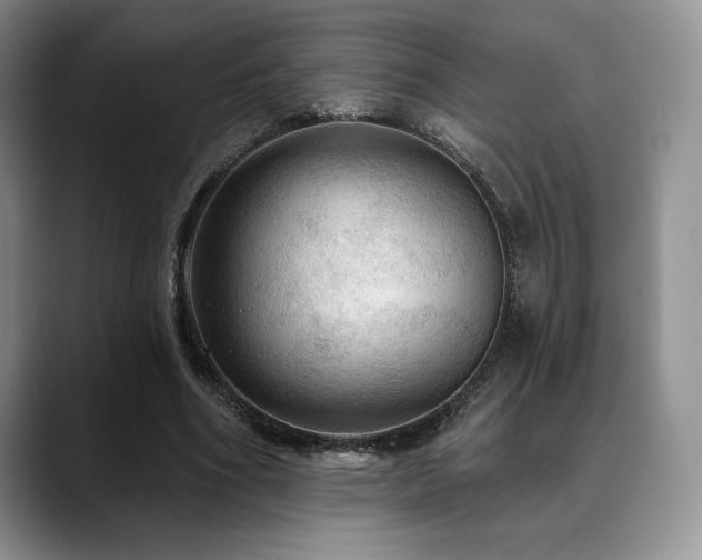 X0000088850586200706081136