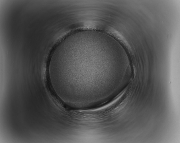 X0000088850588200706081136