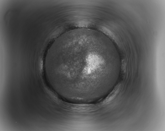X0000088850589200706081136