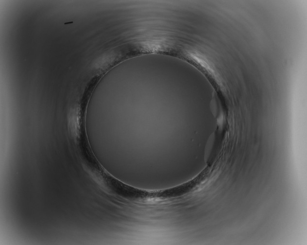 X0000088850590200706081136