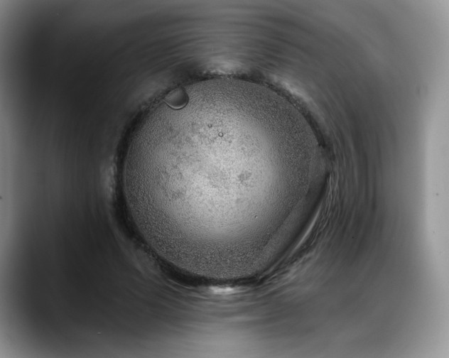 X0000088850591200706081136