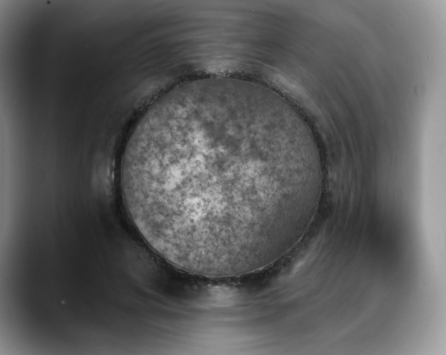 X0000088850592200706081136