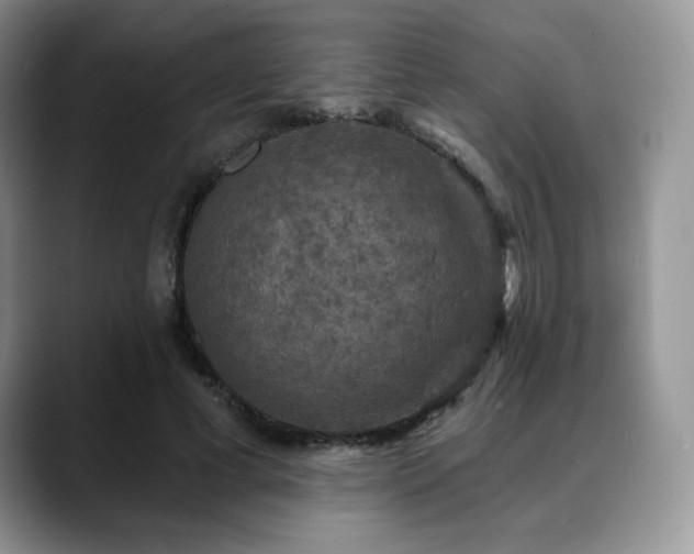 X0000088850593200706081136