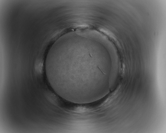X0000088850596200706081136