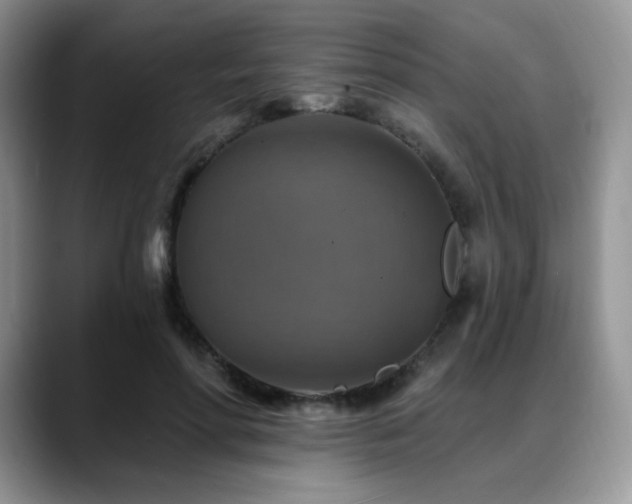 X0000088850598200706081136