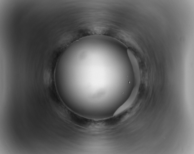 X0000088850599200706081136
