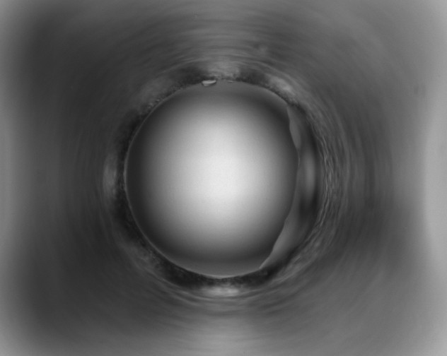X0000088850600200706081136