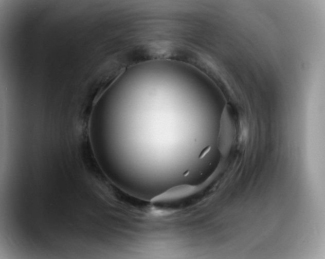 X0000088850601200706081136