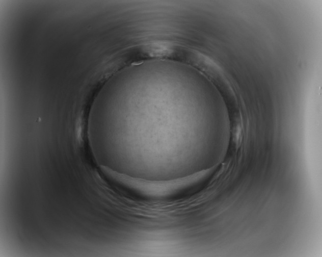 X0000088850604200706081136