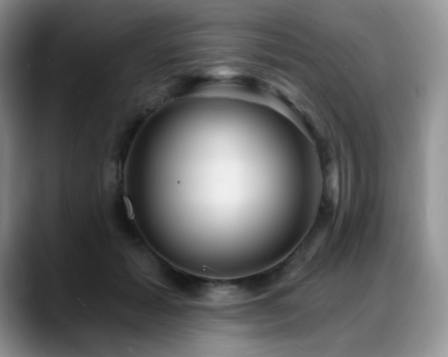 X0000088850605200706081136