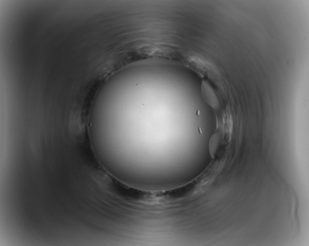 X0000088850607200706081136