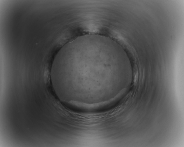 X0000088850609200706081136