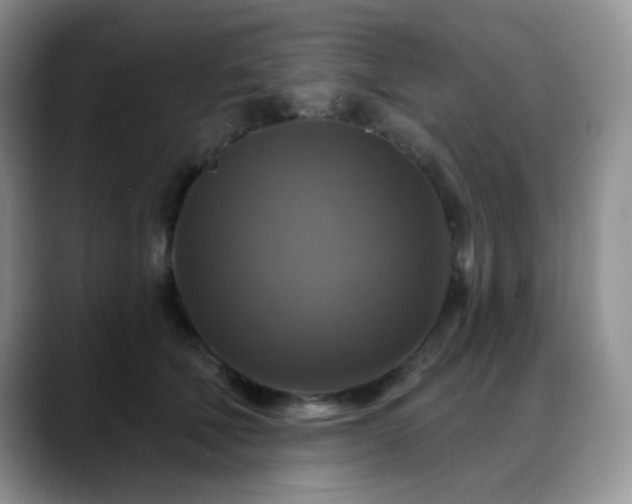 X0000088850610200706081136