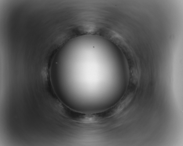 X0000088850612200706081136