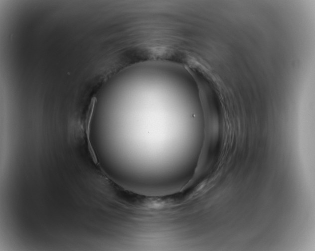 X0000088850613200706081136