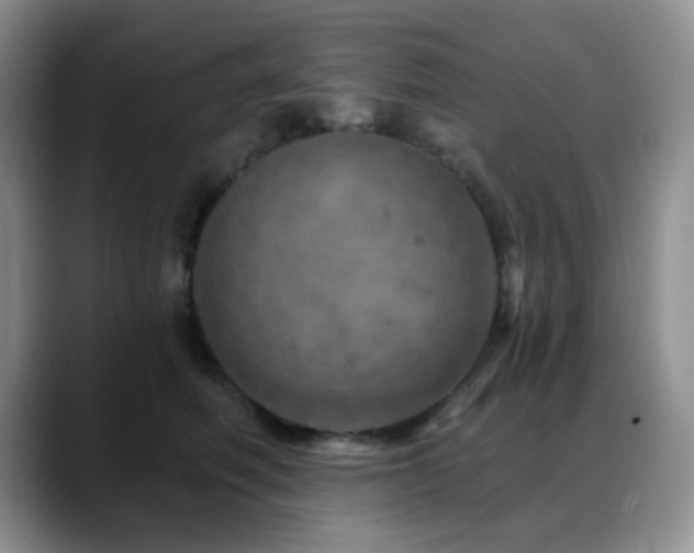 X0000088850614200706081136