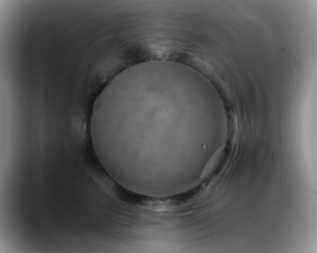 X0000088850615200706081136