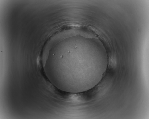 X0000088850616200706081136