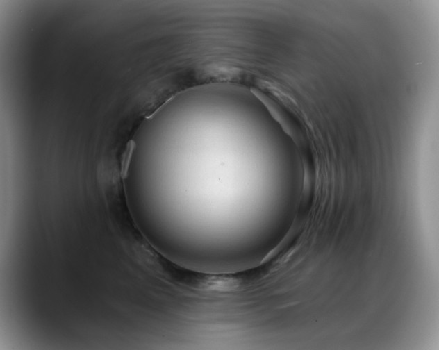X0000088850617200706081136