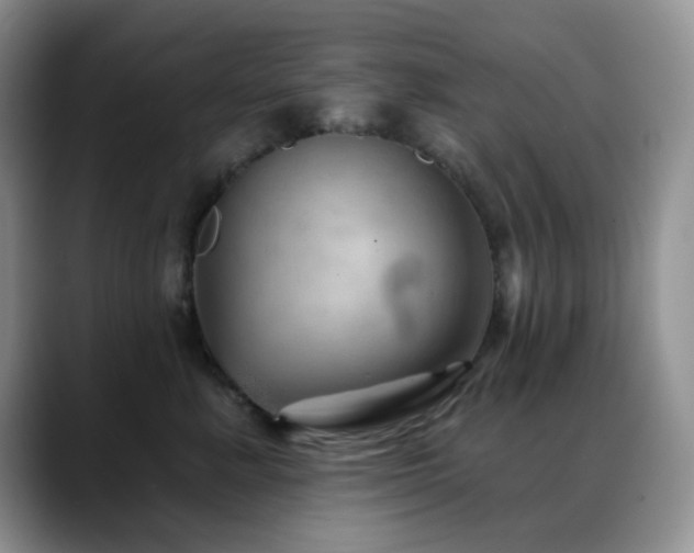 X0000088850619200706081136