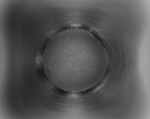 X0000088850624200706081136