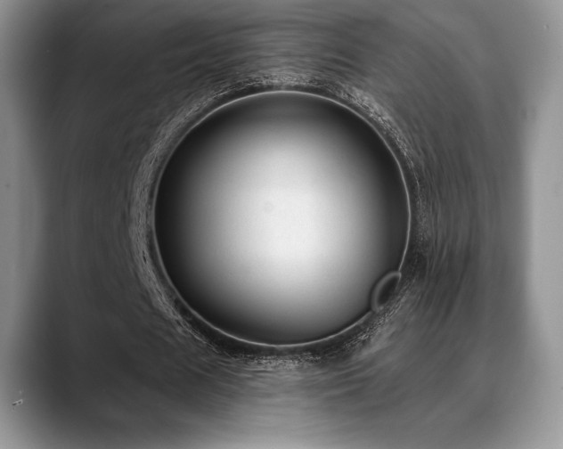 X0000088850625200706081135