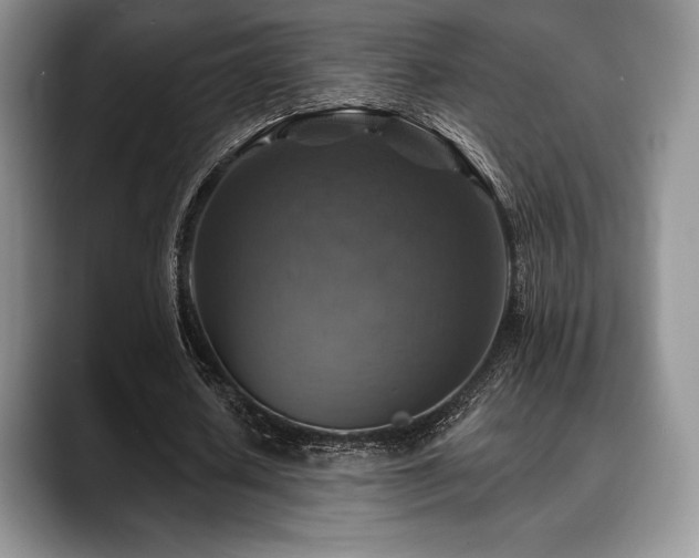 X0000088850626200706081135