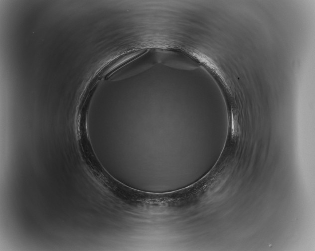 X0000088850627200706081135