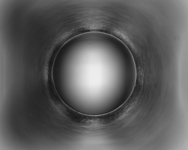 X0000088850631200706081135