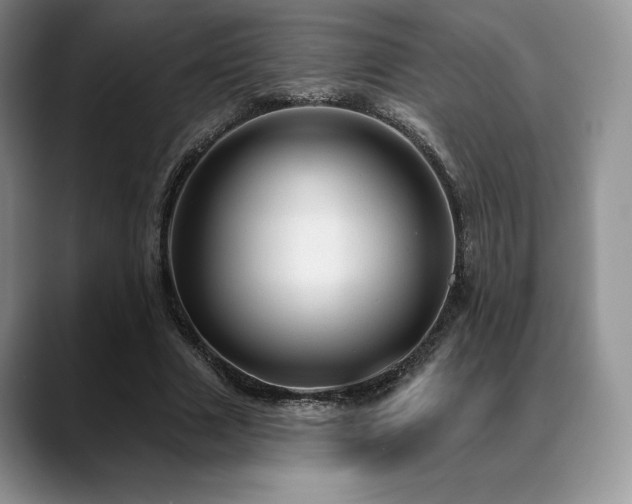 X0000088850633200706081135