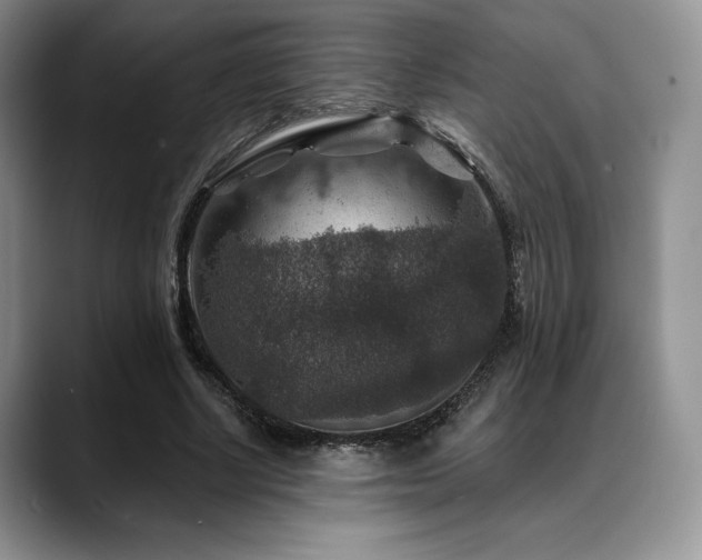 X0000088850634200706081135
