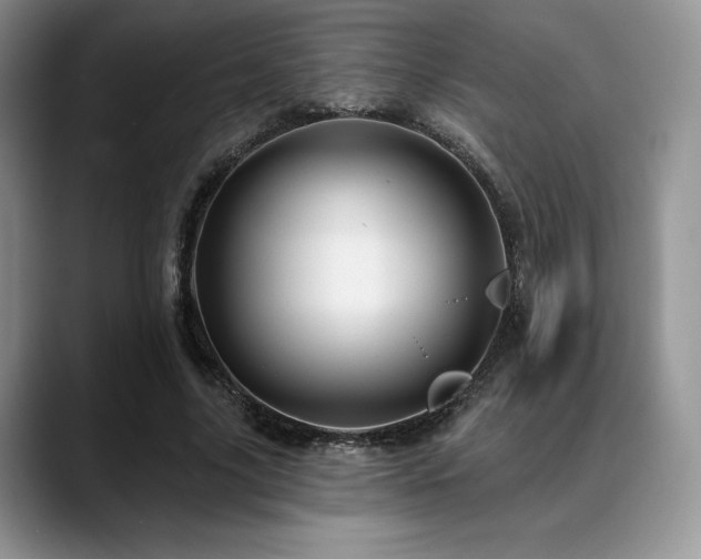 X0000088850635200706081135