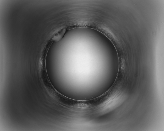 X0000088850636200706081135