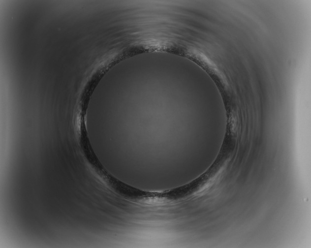 X0000088850637200706081135