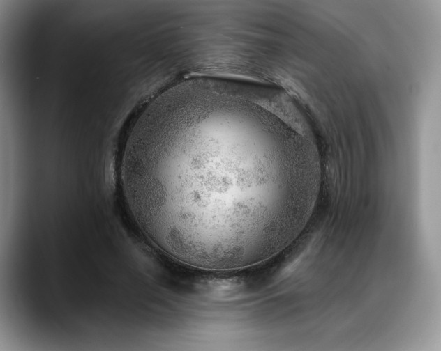 X0000088850638200706081135